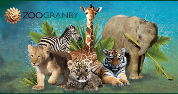 Laissez-passer pour 4 personnes pour visiter le Zoo de Granby