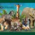 Laissez-passer pour 4 personnes pour visiter le Zoo de Granby