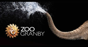 Sortie familiale au Zoo de Granby