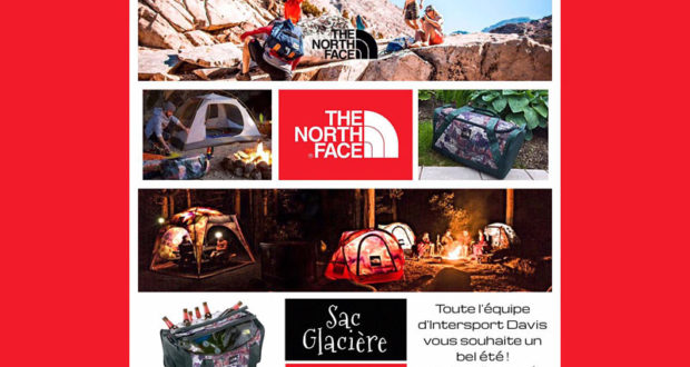 Un sac glacière de la collection Homestead The North Face