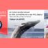 Forfait familial pour une croisière aux baleines, à bord du AML