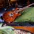 GUITARE PRS 408 TORTOISE SHELL Valeur au détail 3899 $