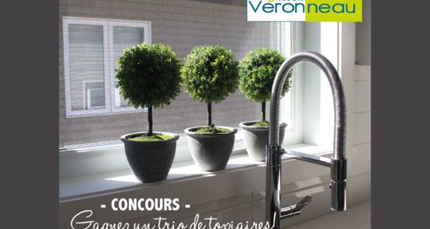 Gagnez un Trio de topiaires artificielles