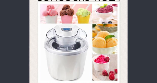 Sorbetière Ricardo - Machine à crème glacée