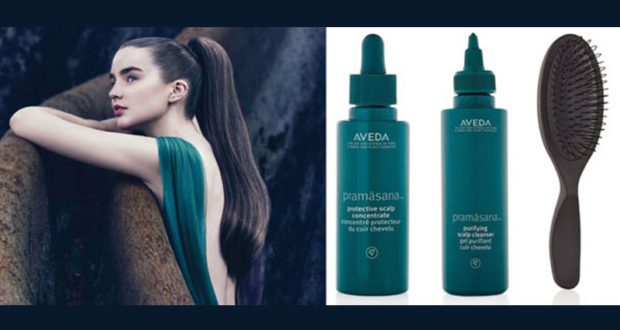 Un prix Pramãsana Scalp Care d'Aveda de 124.50$
