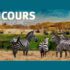 Voyage de 11590$ pour deux en Afrique du Sud