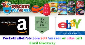 50$ Carte-cadeau eBay ou Amazon