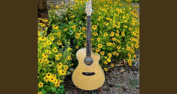 Guitare Breedlove Pursuit Exotic Concert CE