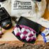 3 kits de démarrage de la photographie