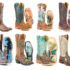 Paire de bottes de cowboy de 325$