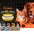 6 mois de nourriture pour animaux Oven Baked Tradition