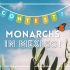 Voyage pour 2 au Mexique pour voir les papillons monarques