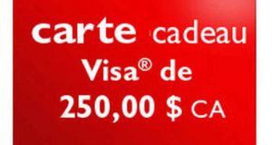Carte-cadeau Visa (250$)