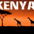 Gagne un voyage pour deux au Kenya