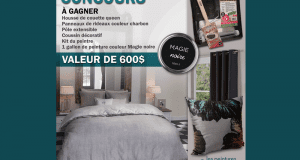Un ensemble d'accessoires décoratifs pour votre chambre