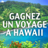 Gagnez un voyage à Hawaii pour 4 personnes