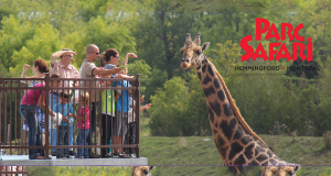 Gagnez 4 billets pour visiter les fabuleux animaux du Parc Safari