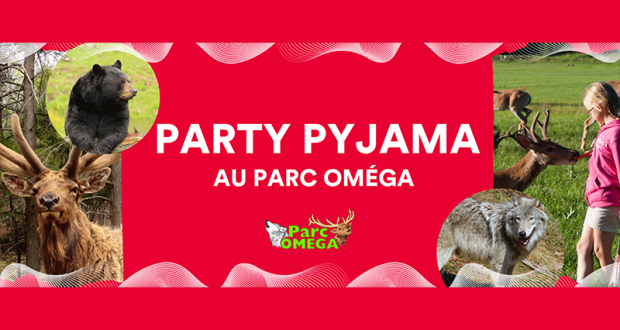 Party pyjama familial de luxe au Parc Oméga