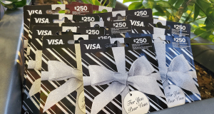 10 cartes prépayées Visa Vanilla de 250$