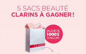 5 Sacs de 17 produits de Beauté Clarins (1000$ chacun)