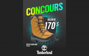 Bottes d'hiver 400G Timberland Tree
