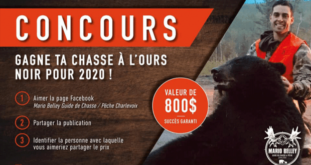 Gagne ta chasse à l'ours noir pour 2020