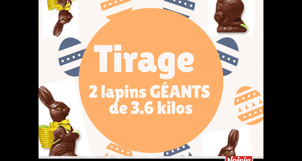 2 LAPINS GÉANTS en chocolat de 3.6 kilos chaque