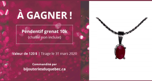 Un Pendentif grenat 10k