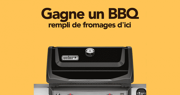 BBQ Weber Spirit II E-210 de 700$