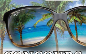 Une paire de lunettes solaires Maui Jim