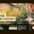 Gagnez 1000 $ en végétaux et produits de jardinage