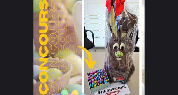 Gagnez Alex le lapin GÉANT de 3kg de Chocolats Favoris