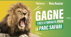 Gagnez 5 forfaits famille pour le Parc Safari