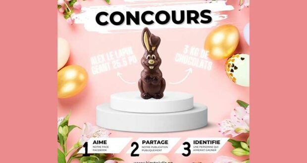 Gagnez Alex le lapin géant de Chocolats Favoris