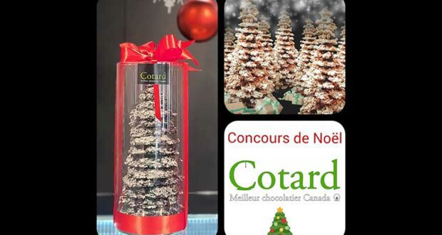Gagnez un de nos sapin géant en chocolat noir