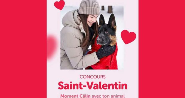 Gagnez une sélection de produits pour chat ou chien