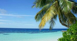 Gagnez 5 000 $ en cartes-cadeaux Air Canada